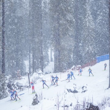 P1088737_biatloniste_hromadny_start_muzu_sp_pokljuka_2025_ps